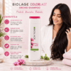 Biolage Colorlast Orchid Shampoo for Colour Protection - 200ml
